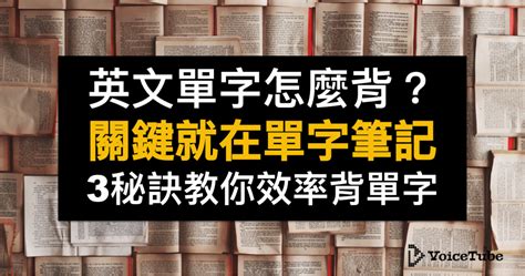 小擺設英文|擺設的英文單字，擺設的英文是什麽